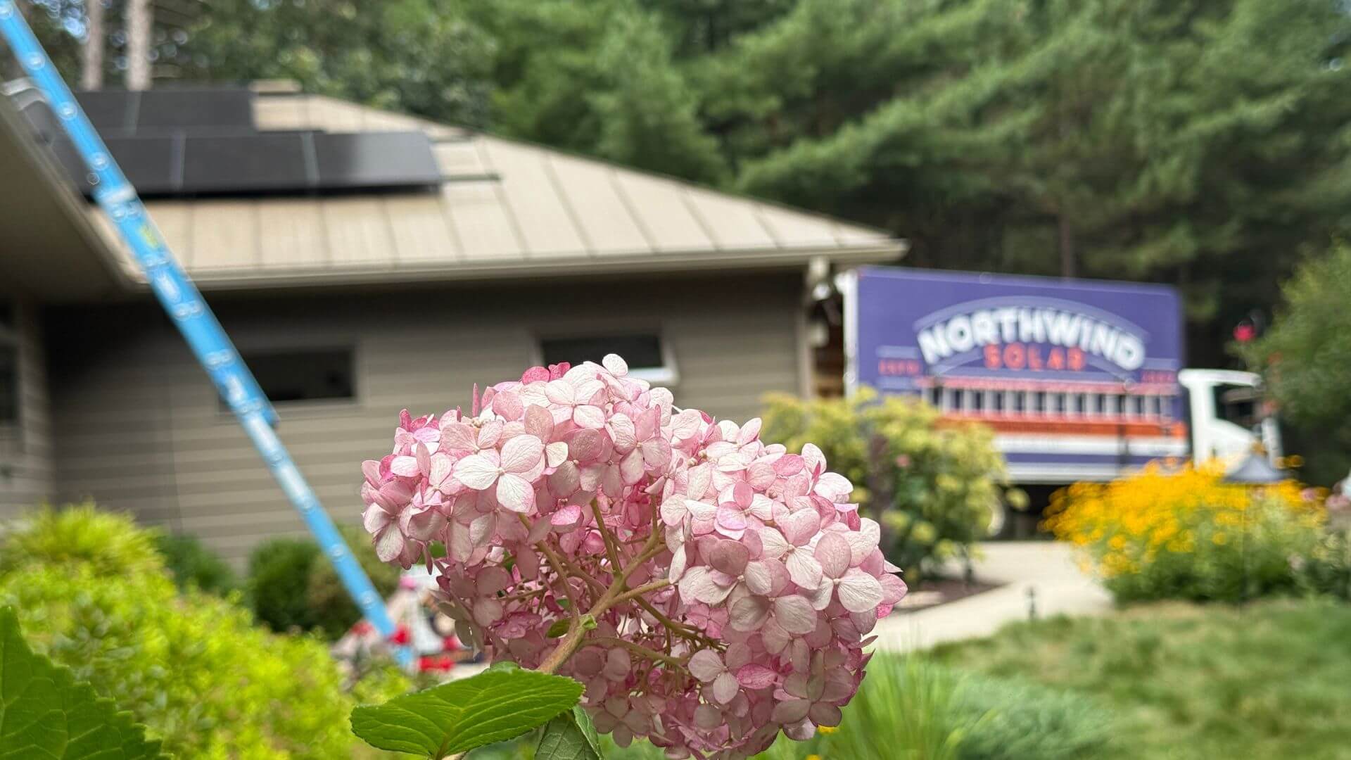 4 (1)